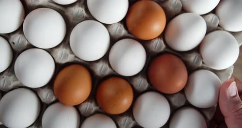 The Men's Hands Are Taken From the Table By a Bunch of Raw Eggs.