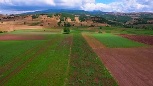 Agricultural and Soil