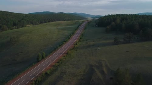 AERIAL, TOP DOWN: Dark Colored Car Driving Down an Asphalt Road Crossing the Vast Forest on a Sunny