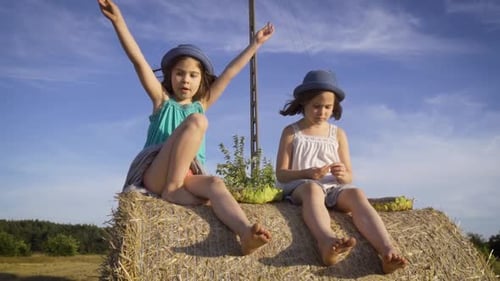Two Charming Girls Are Eating Sunflower Seeds on Mown Rye in the Field