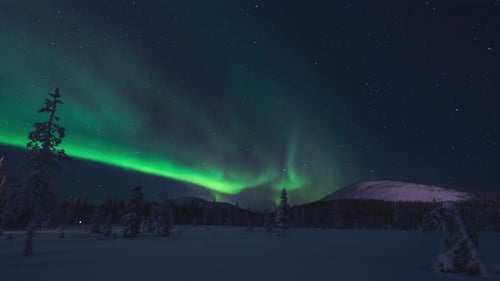 Real timelapse of northern lights or aurora borealis dancing in the nightsky over a winter landscape