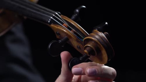 Musician Girl a Tunes Violin. Black Background. Close Up