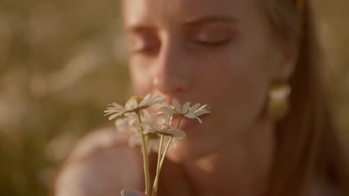 A Happy Woman is Sniffing of Chamomile on Field at Sunset