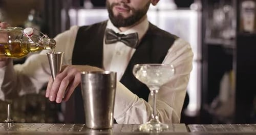 Close-up Shooting. The Bartender Is Pouring Alcohol From a Bottle Into a Shaker.