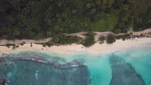 Cenital Drone Of Caribbean Beach With Waves