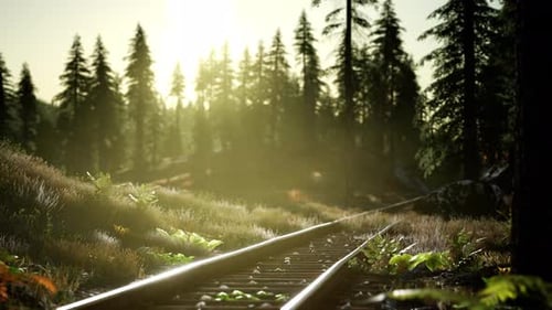 Animated Railroad Tracks Through Sunny Forest at Sunrise