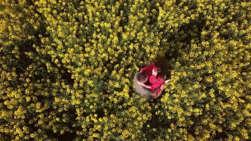 Couple on a Field with Blooming Rapeseed