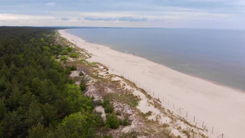 People Walk The Shore