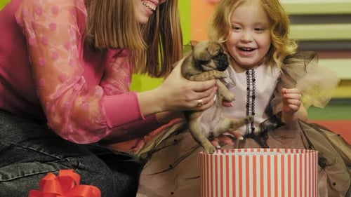 Girl Receives Adorable Puppy as Birthday Gift