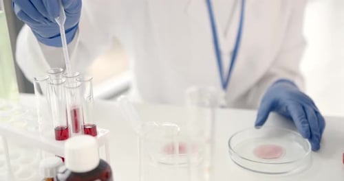 Pipetting Sample into Petri Dish in Lab