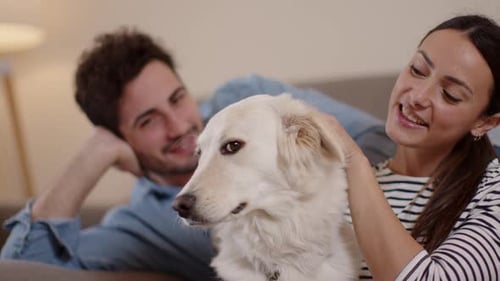 Woman Pets Dog While Man Relaxes on Sofa