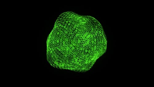 Green Abstract Hexagon Sphere Morphing Loop Background