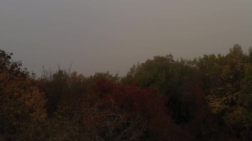 Autumn Day Over A Misty Forest 2