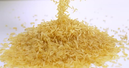 Rice Grains Pouring onto Pile Close Up