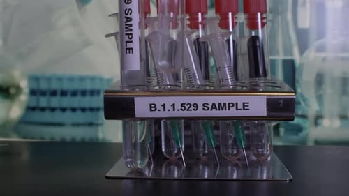 Ein mit B.1.1.529 beschriftetes Metallröhrchengestell enthält Reagenzgläser und Spritzen. Weitere Reagenzgläser sind bei