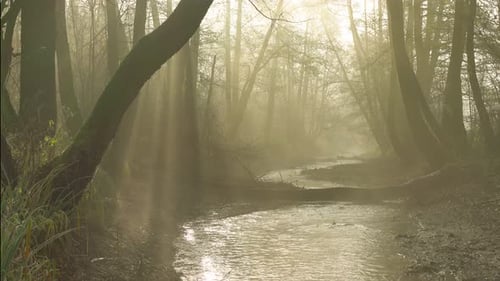 River 4K