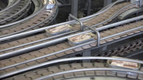 Cans on Conveyor Belts in Factory