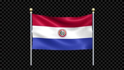 Waving Flag of Paraguay with Alpha Channel