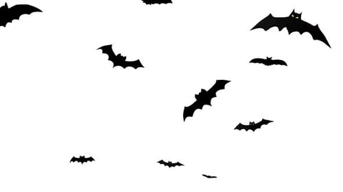 Halloween Flying Bat Swarm Overlay Animation
