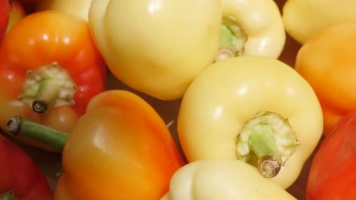 Red and green peppers Capsicum annuum slow tilt 4K footage