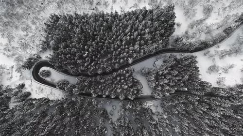 Aerial Top Down Drone Shot Above the Winding Mountain Road Between the Snowy Trees Italy