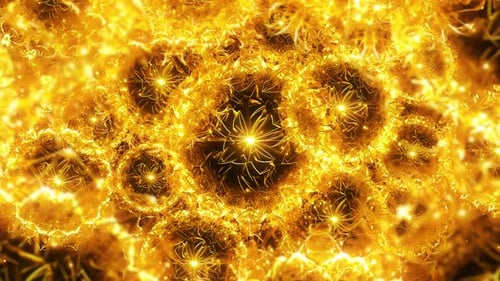Golden Rings and Particles