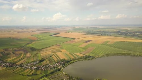 Aerial view of a lake surrounded with yellow agricultural fields and small village houses in rural