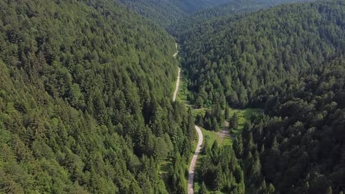 Aerial Forest and Mountain Footage V5
