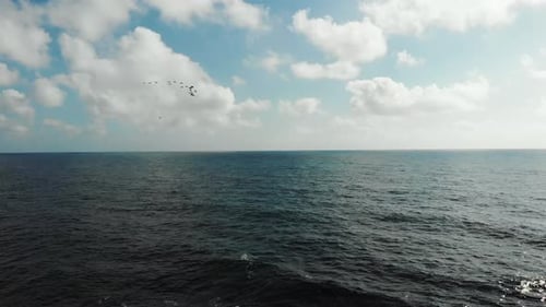 Aerial View of Flock of Birds Flying Over Wavy Sea with Stormy Waves Hitting the Rocky Beach