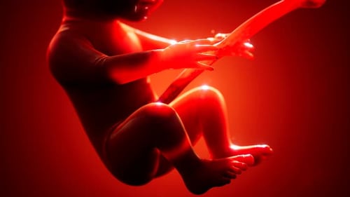 Animation médicale 3D d'un foetus humain