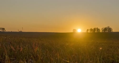 Flat Hill Meadow Timelapse at the Summer Sunset Time. Wild Nature and Rural Grass Field. Sun Rays