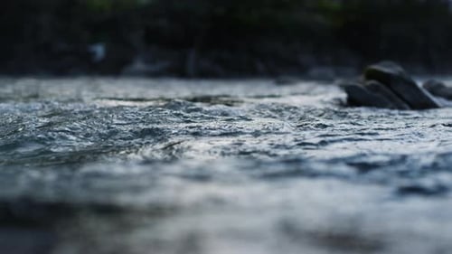 Closeup of Clean Water Flowing in Mountain River