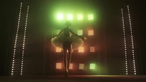 Silhouette Ballet Dancer Performing Swan Lake on the Stage of the Theater. Beauty Concept Slow