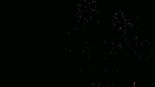 Colorful Firework display at night on sky background