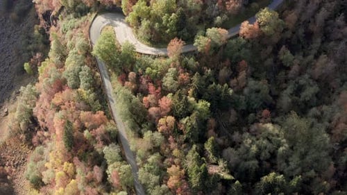 Kurvenreiche und steile Bergstraße im Herbst