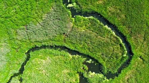River winding among the green swamps, view from above, Poland