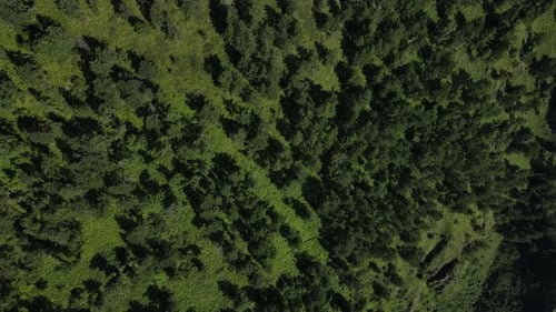 Aerial Photography of the Green Mountain Hill in Summer