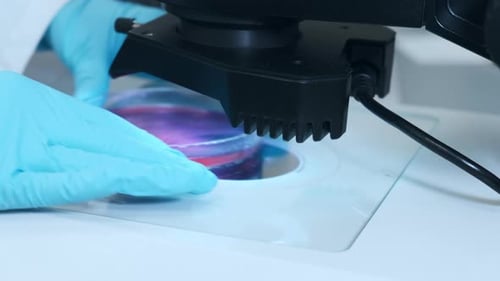 Microscope Examining Petri Dish in Laboratory Setting
