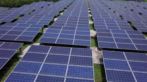 Solar panel plant