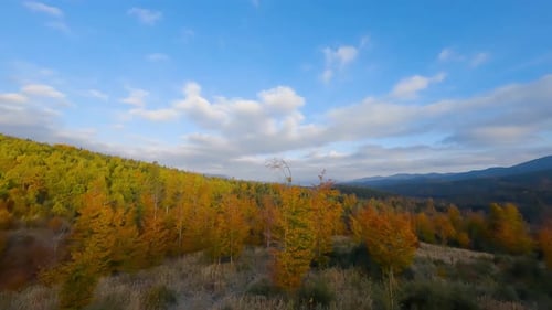 Aerial View of a Bright Autumn Forest on the Slopes of the Mountains