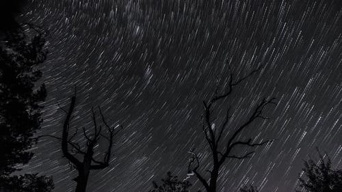 Star Trails in the Night Sky
