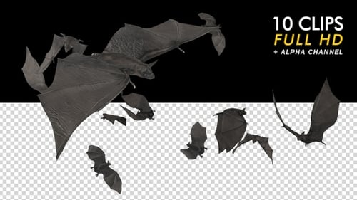Multiple Animated Bats Flying with Alpha Channel