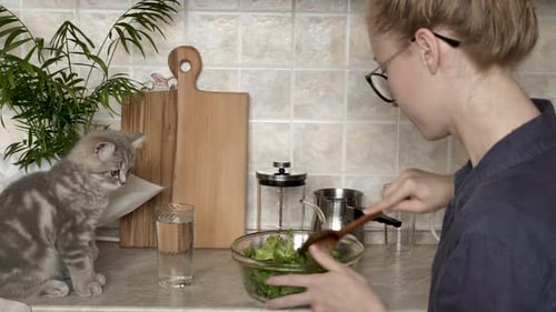 Frau kocht in der Küche mit einem Kätzchen