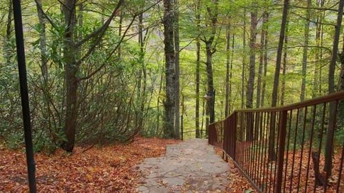 Autumn