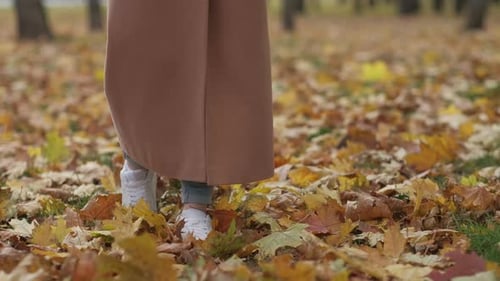 Romantic Autumn Walking Woman Nature Beauty