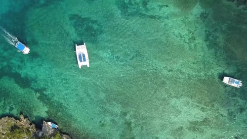 Sailing Catamaran