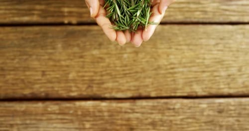 Mains d'une femme tenant du thym sur une plate-forme en bois 4k