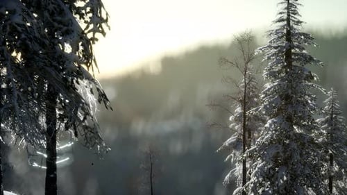 Herrliche Weihnachtsszene im Bergwald. Bunter Wintersonnenaufgang