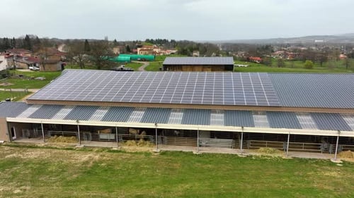 Aerial View of Blue Photovoltaic Solar Panels Mounted on Farm Building Roof for Producing Clean