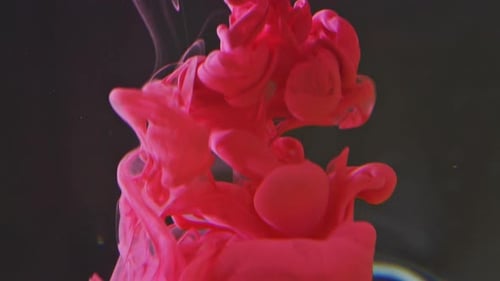 Paint Spreads Under Water, Close-up. Colored Paint Tubers Dissolve in Water.